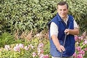 A photo of a man raking leaves in a garden