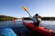 PADDLE WITHOUT PAIN THIS SUMMER