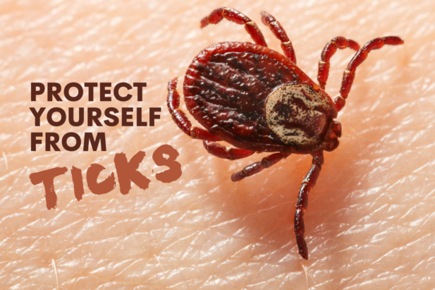 Protect Yourself From Ticks - PT360