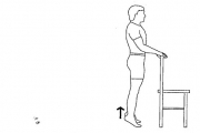 A drawing of the correct form for heel raise exercises