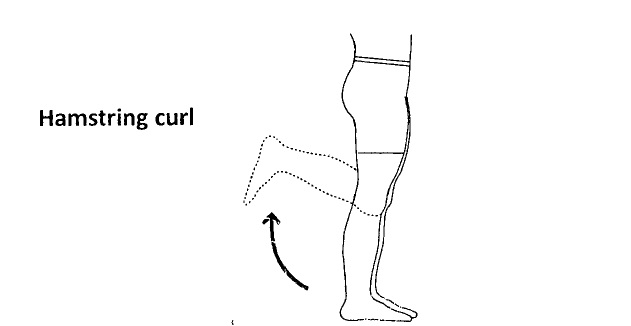 A line drawing of the proper form for hamstring curl exercises.