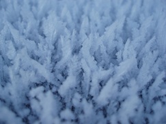 An abstract photo of ice crystals.